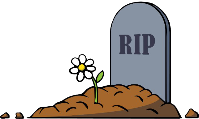 A gravestone with dirty and a single daisy growing from it